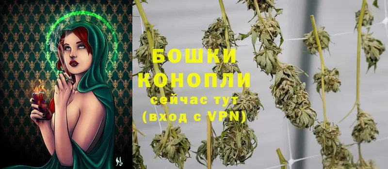 Бошки марихуана SATIVA & INDICA  ОМГ ОМГ онион  Лермонтов 